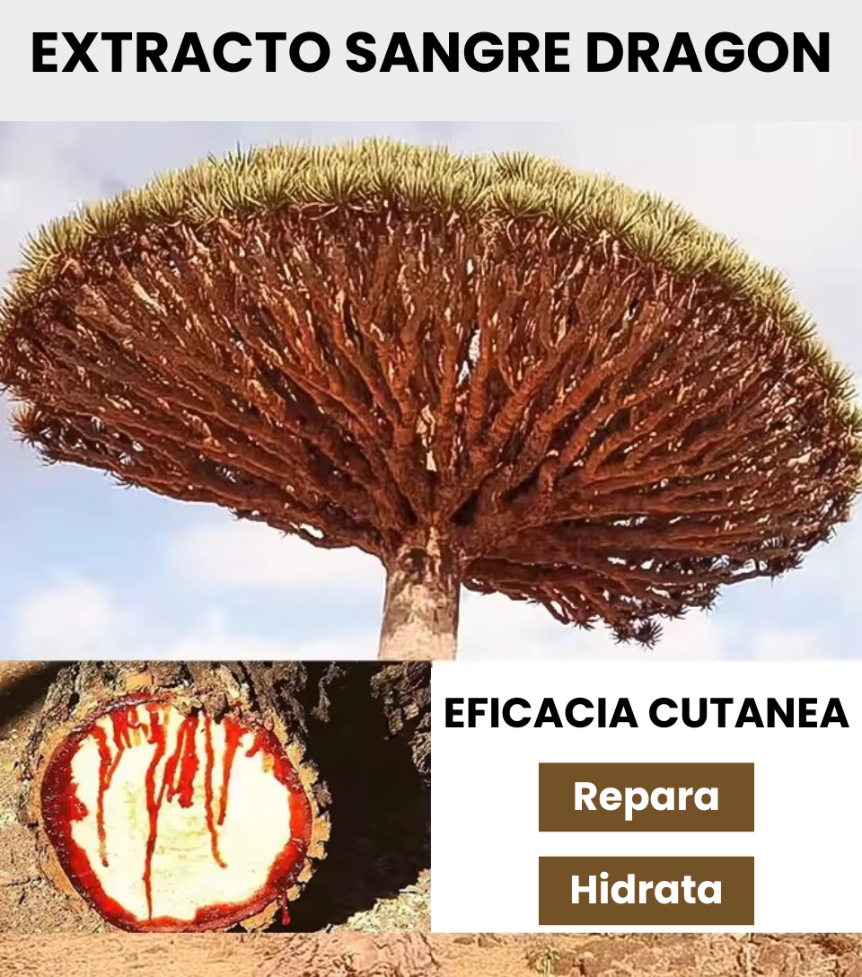 ✨Rutina facial sencilla para una piel más hidratada