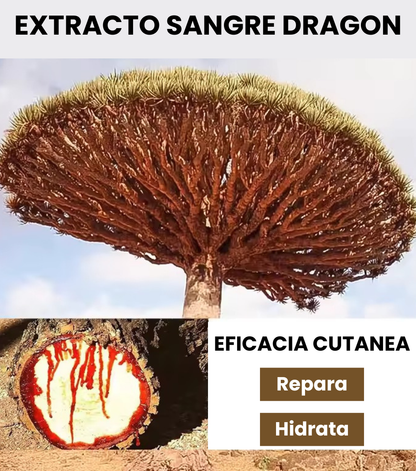 ✨Rutina facial sencilla para una piel más hidratada