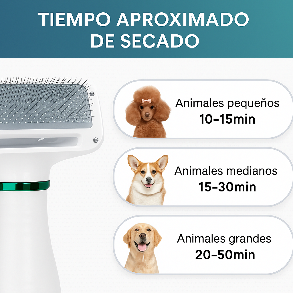 Banner con encabezado ajustado