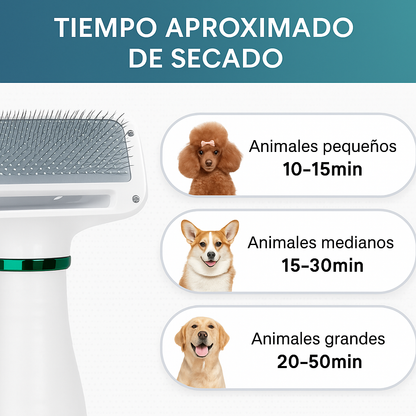 Banner con encabezado ajustado